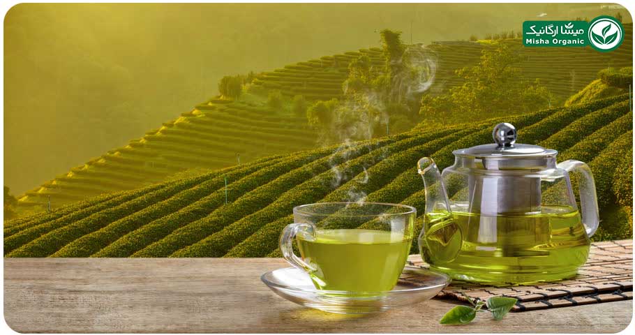 چای سبز سرگل بهاره ارگانیک برگسان 